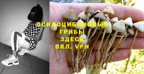 дживик Баксан