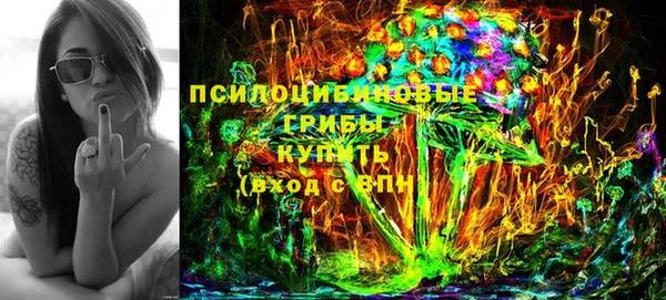 дживик Баксан