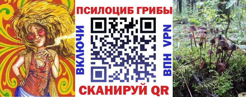 Галлюциногенные грибы GOLDEN TEACHER магазин наркотиков Верхнеуральск